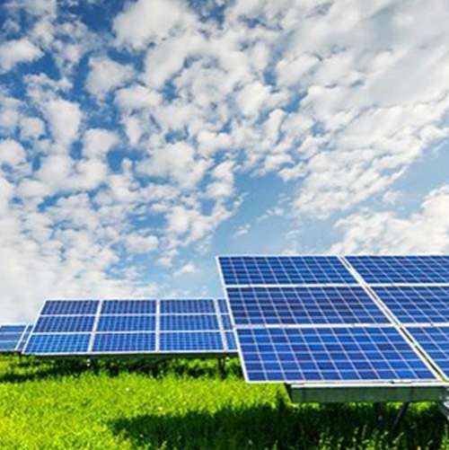Sustainability - V-Gro Group